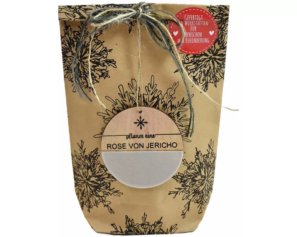 Wundertüte / Pflanz eine Rose von Jericho