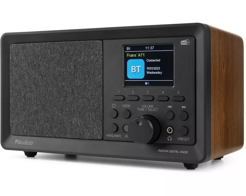 Audizio DAB+ Radio Padova Braun/Schwarz