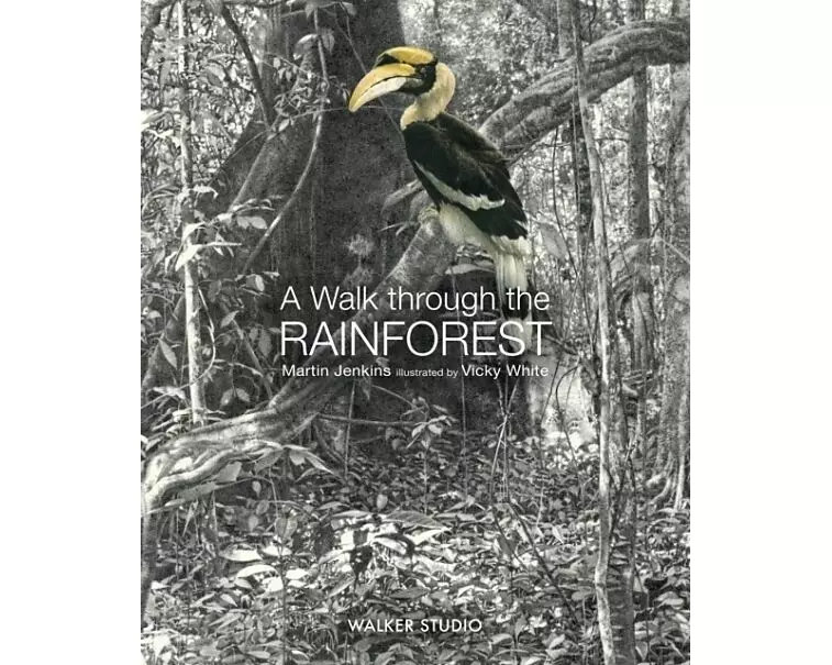A Walk Through the Rainforest