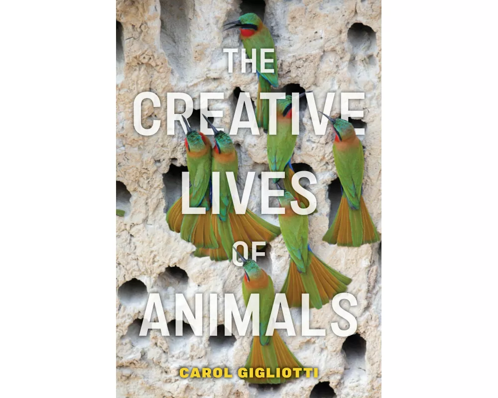 The Creative Lives of Animals