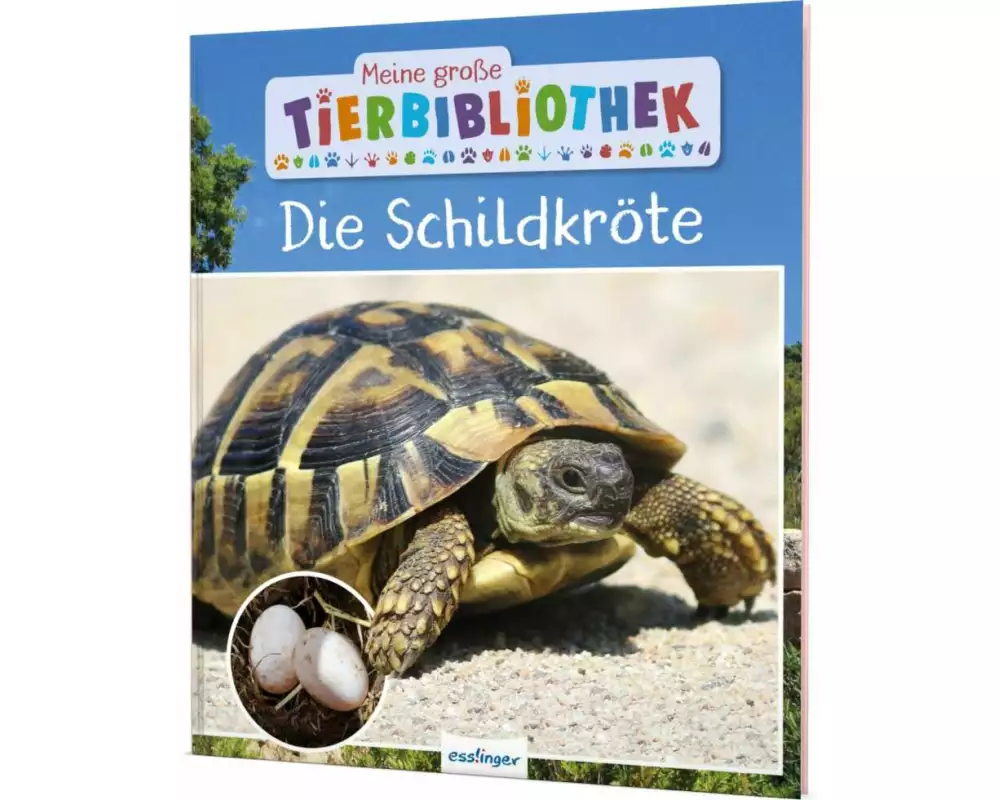 Meine große Tierbibliothek: Die Schildkröte