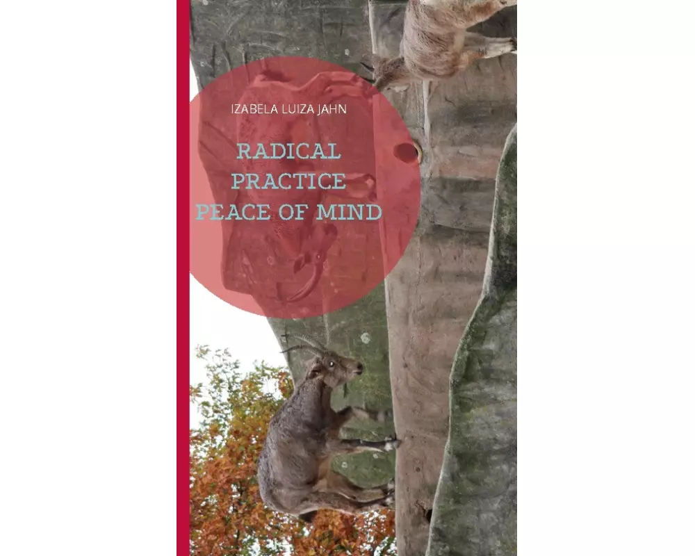 Radical Practice Peace of Mind