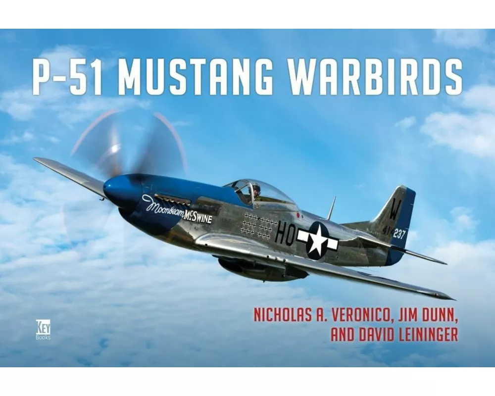 P-51 Mustang Warbirds