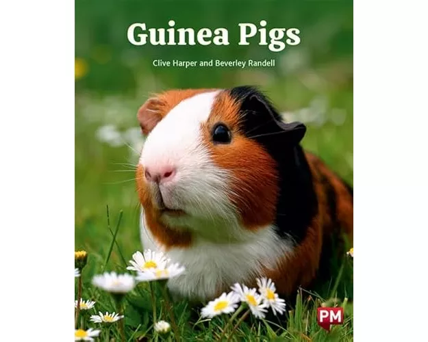Guinea Pigs