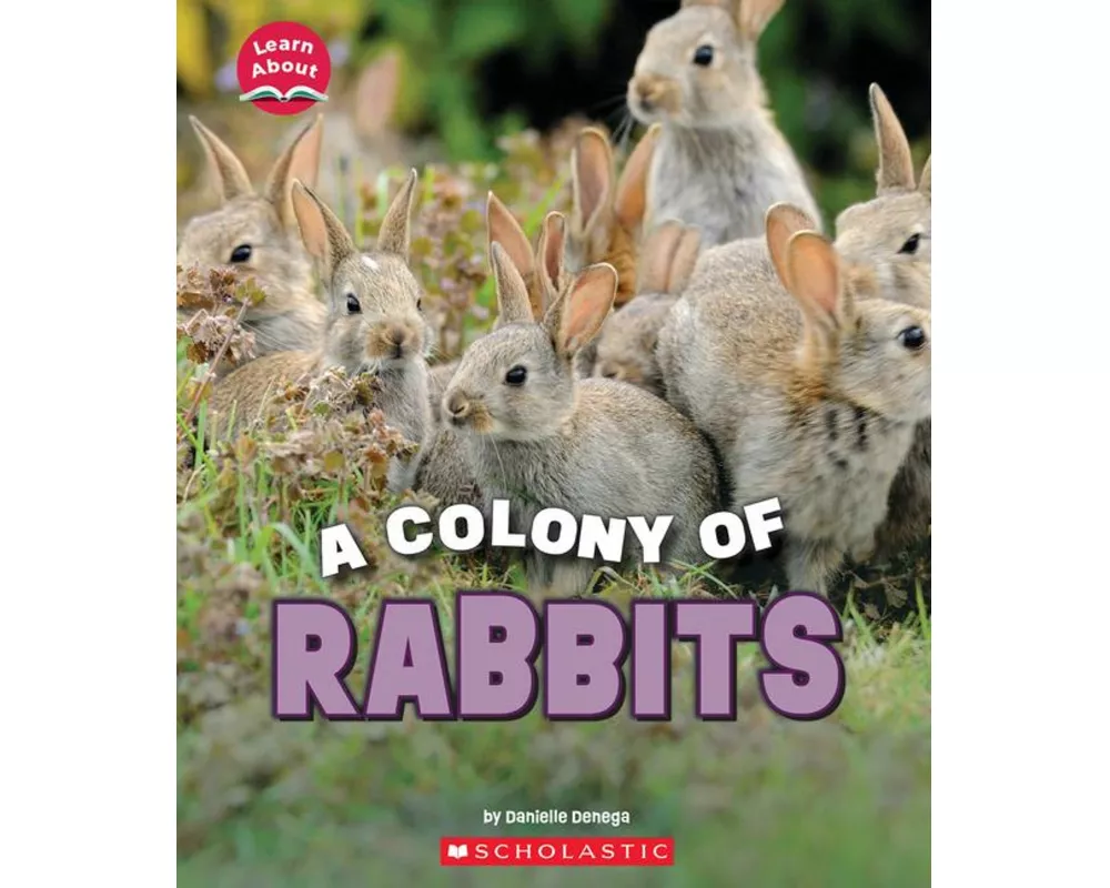 A Colony of Rabbits (Learn About: Animals)