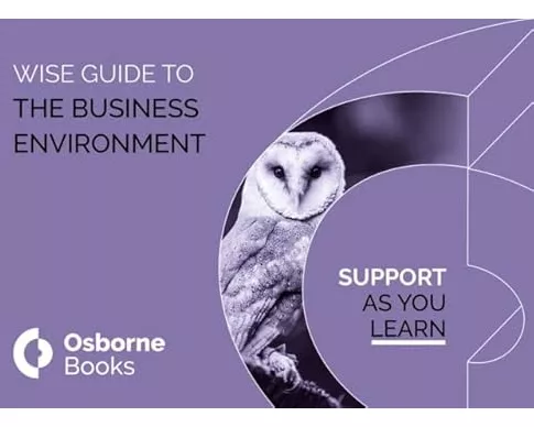The Busines Environment Wiseguide