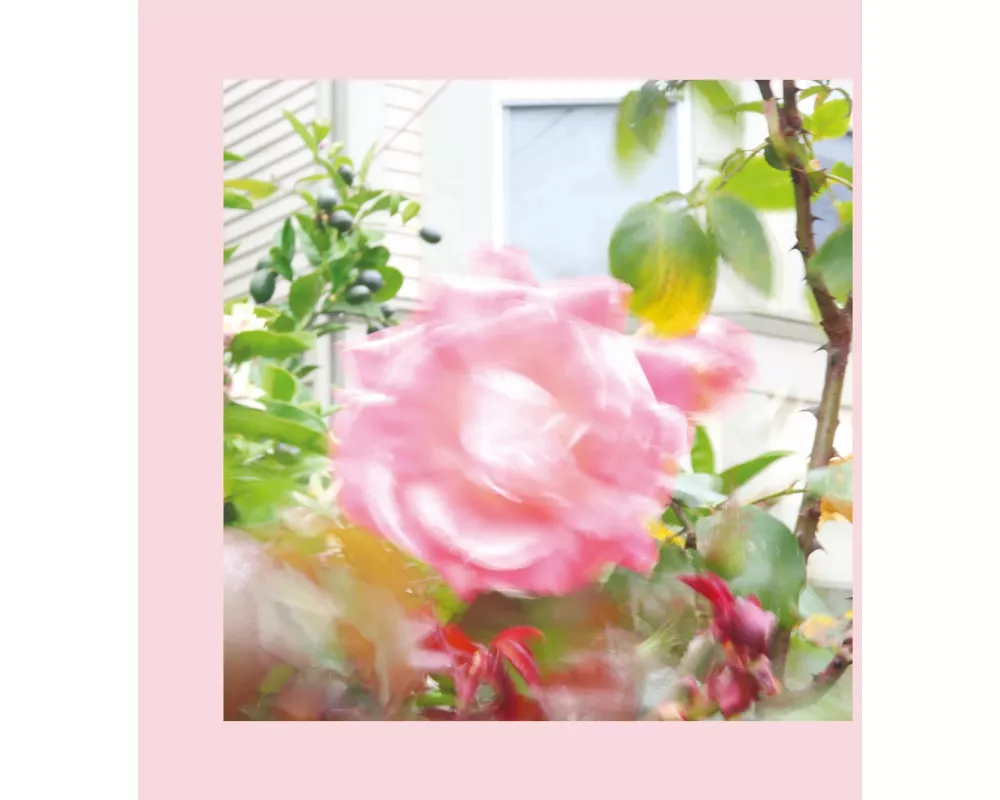 Summer At Land's End