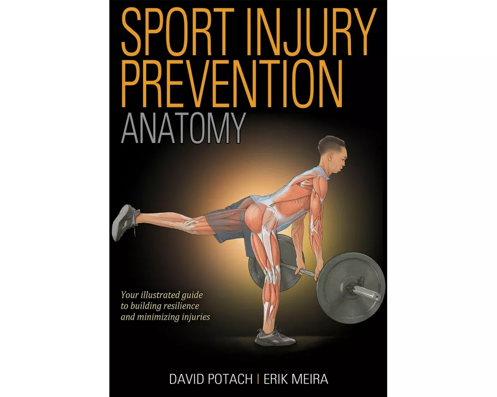Sport Injury Prevention Anatomy