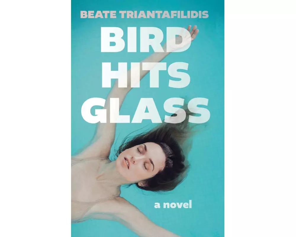 Bird Hits Glass