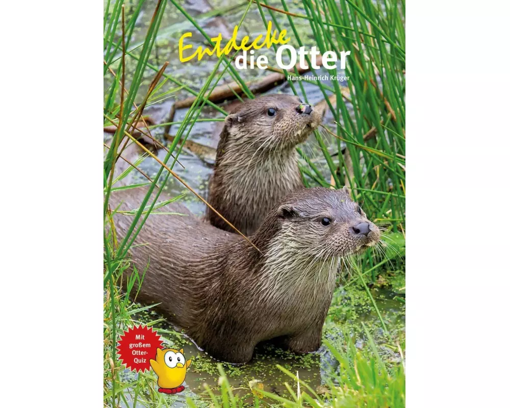 Entdecke die Otter