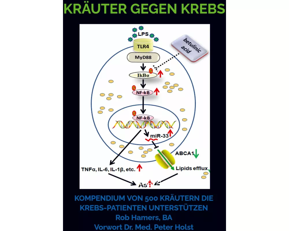 Kräuter gegen Krebs