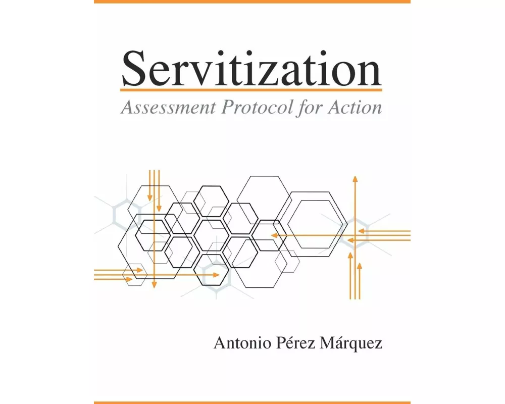 Servitization