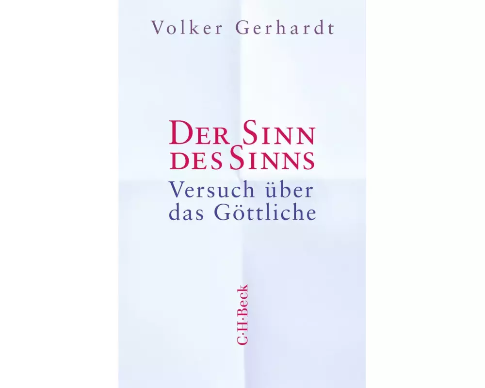 Der Sinn des Sinns