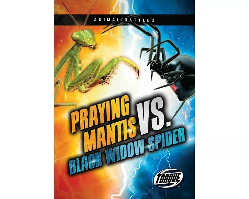 Praying Mantis vs. Black Widow Spider