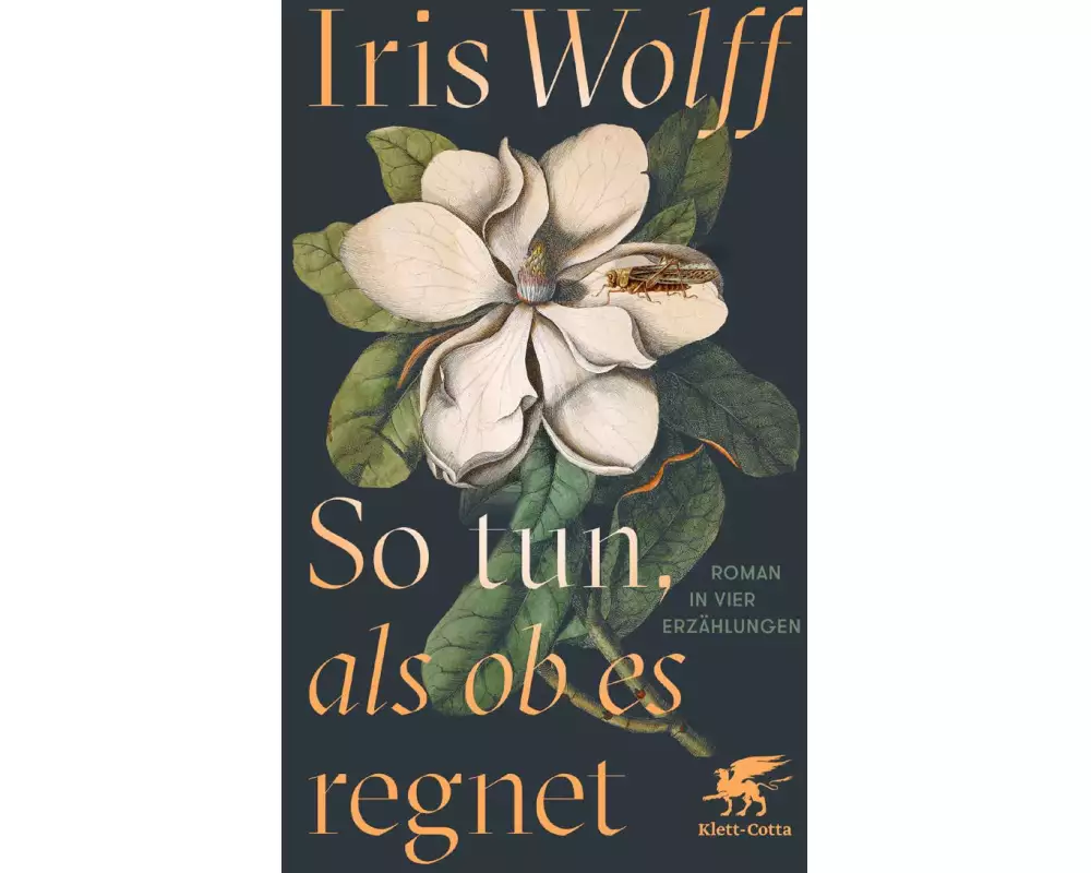 So tun, als ob es regnet