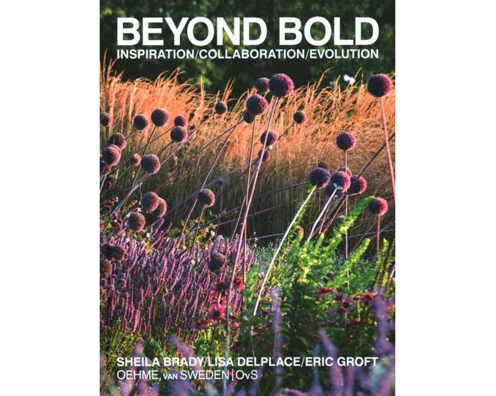 Beyond Bold: Inspiration, Collaboration, Evolution