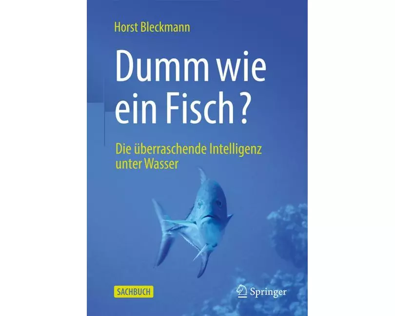 Dumm wie ein Fisch?