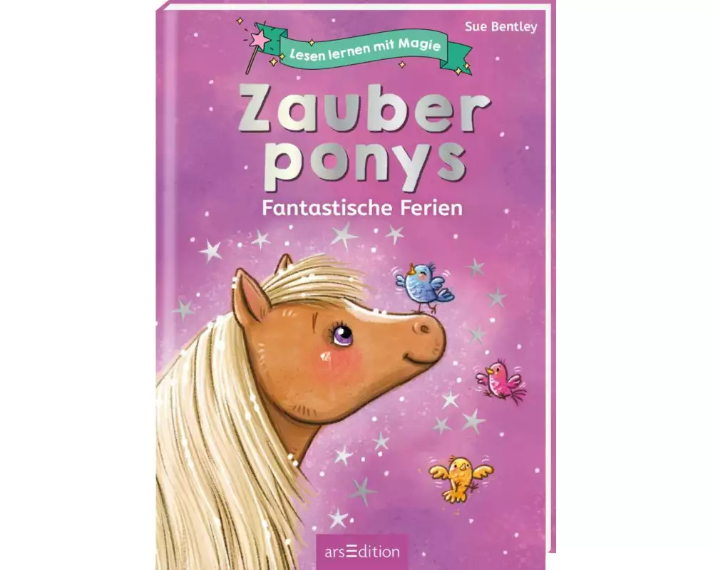 Lesen lernen mit Magie: Zauberponys