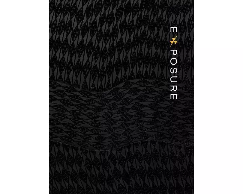 Exposure: Native Art and Political Ecology