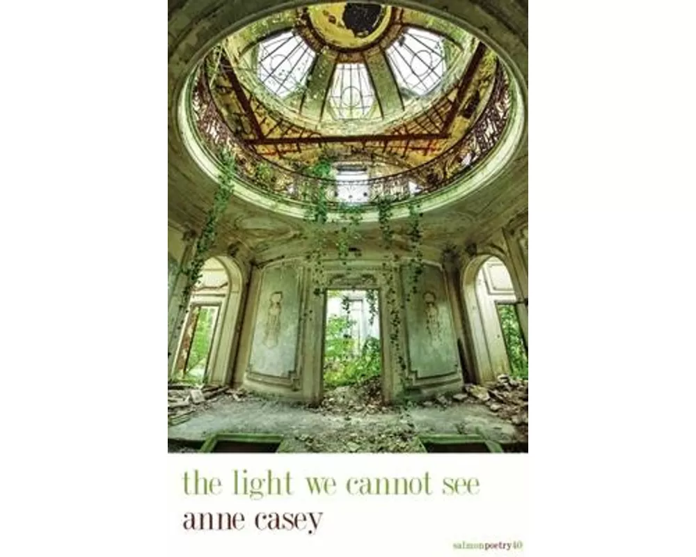 the light we cannot see