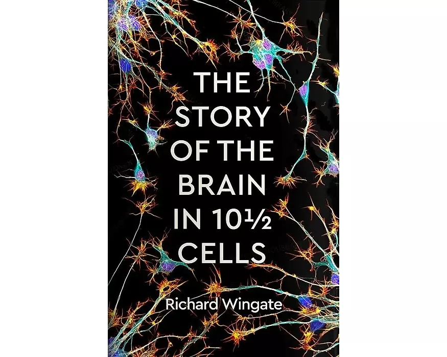 The Story of the Brain in 10½ Cells