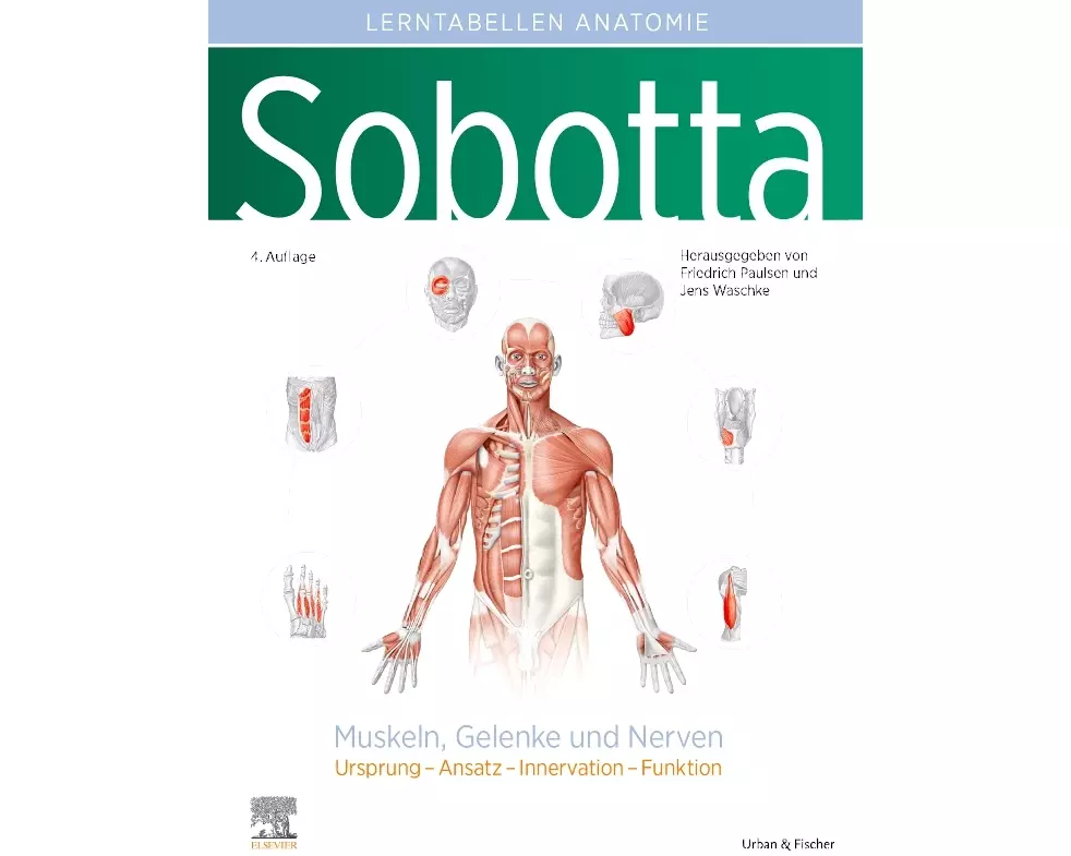 Sobotta Lerntabellen Anatomie Muskeln, Gelenke und Nerven