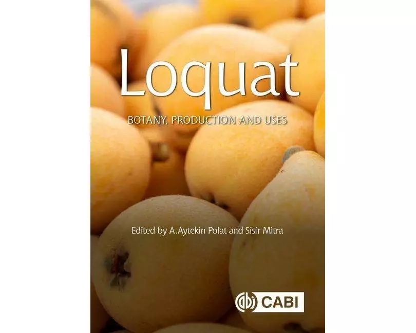 Loquat