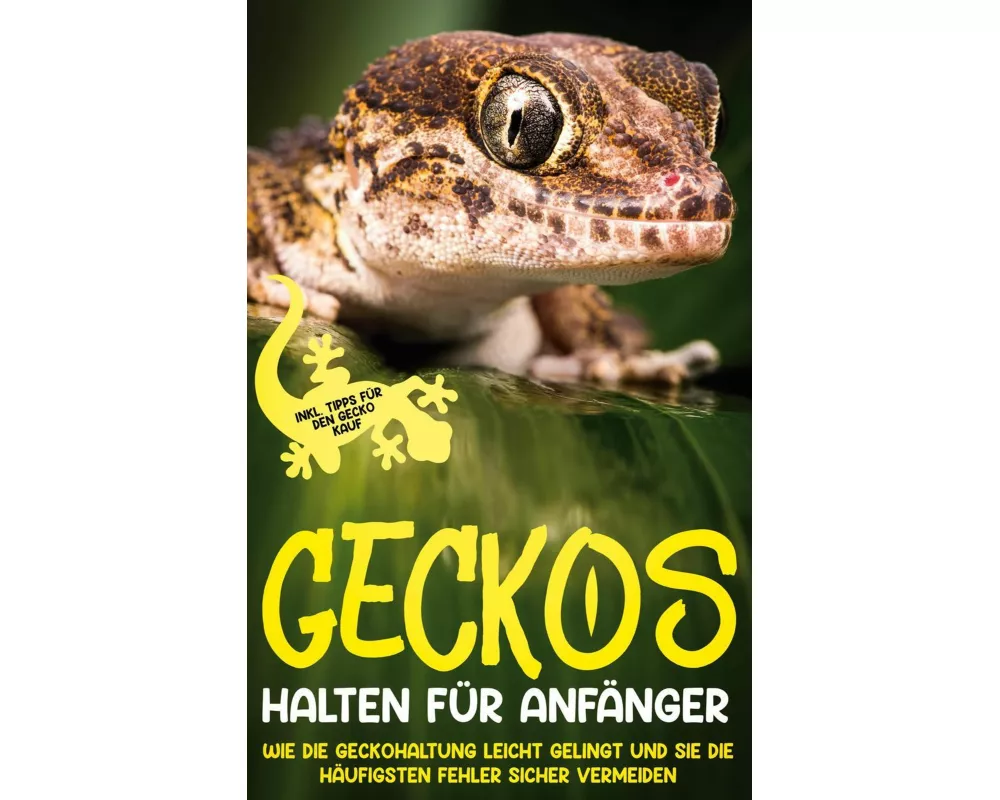 Geckos halten für Anfänger: Wie die Geckohaltung leicht gelingt und Sie die häufigsten Fehler sicher vermeiden - inkl. Tipps für den Gecko Kauf