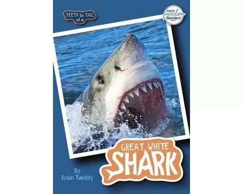 Teeth to Tail of a Great White Shark