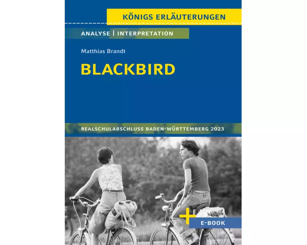 Blackbird von Matthias Brandt - Textanalyse und Interpretation