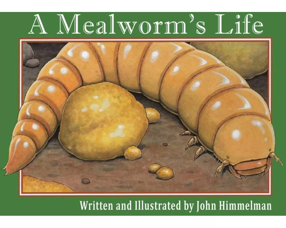 A Mealworm's Life