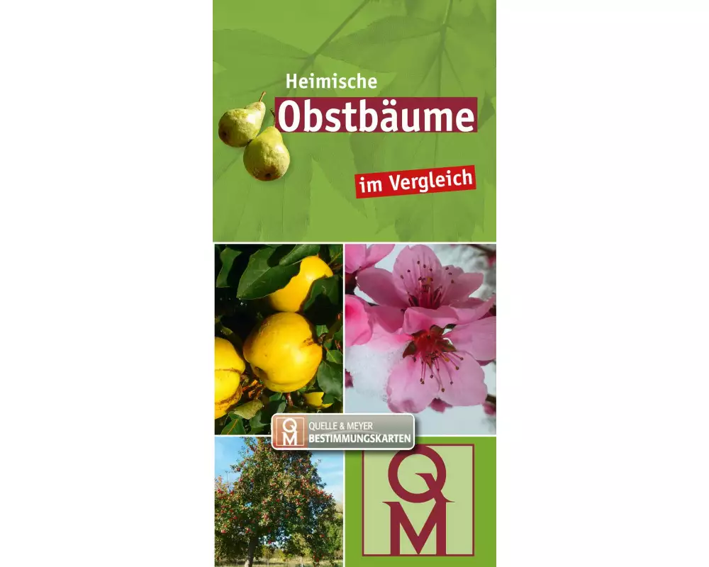 Heimische Obstbäume
