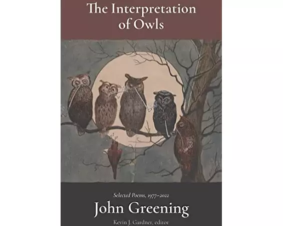 The Interpretation of Owls