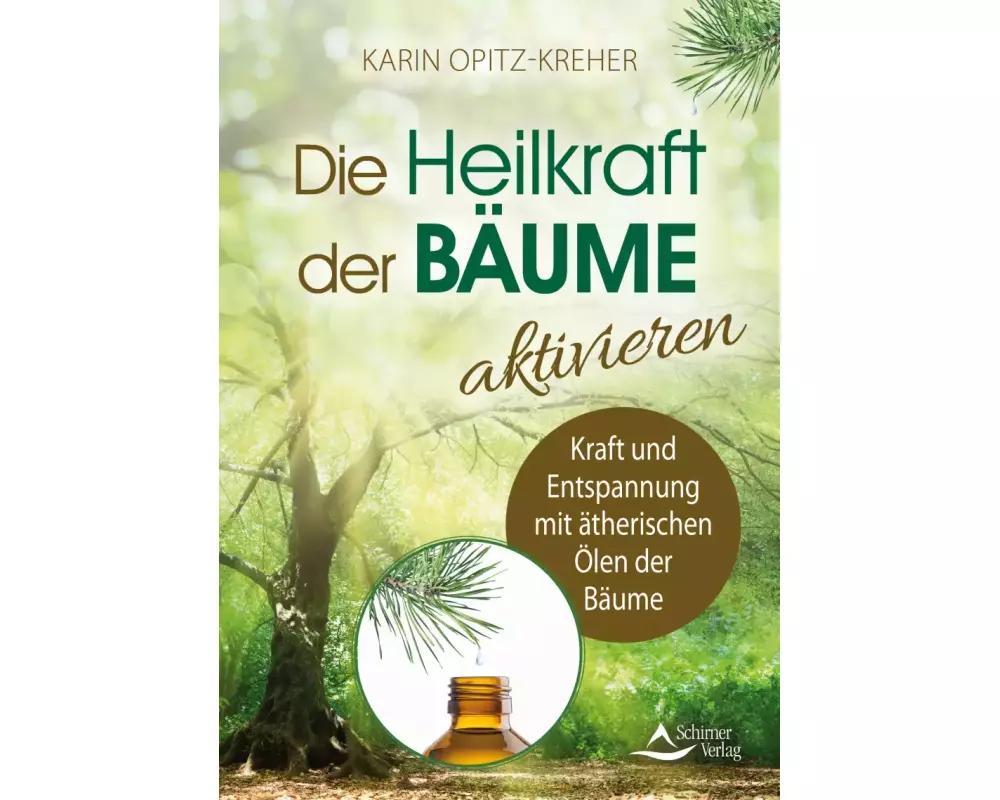 Die Heilkraft der Bäume aktivieren