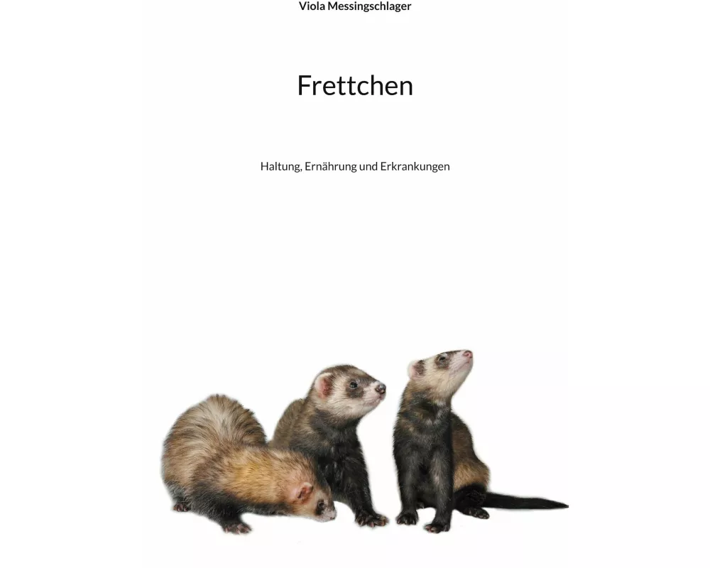 Frettchen