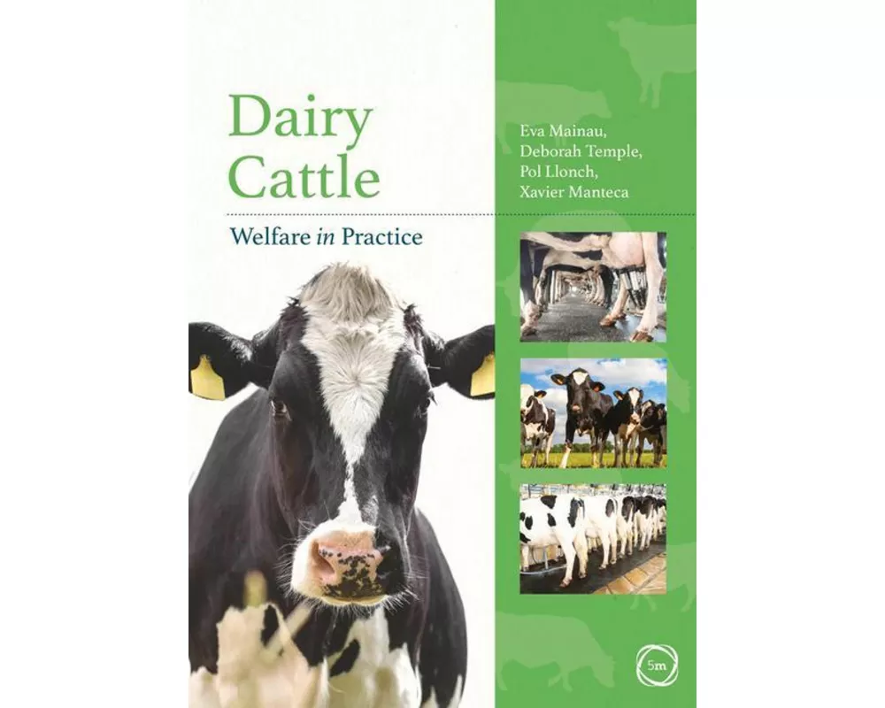 Dairy Cattle Welfare In Practice