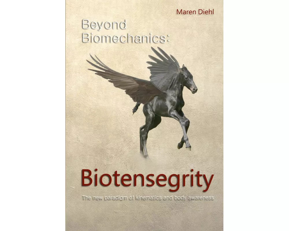 Beyond Biomechanics - Biotensegrity