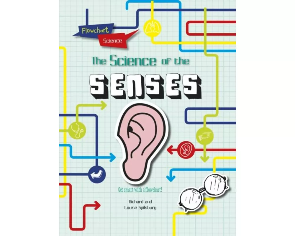 The Senses