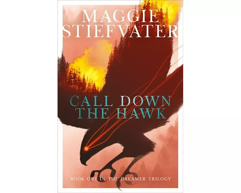 Call Down the Hawk: The Dreamer Trilogy #1