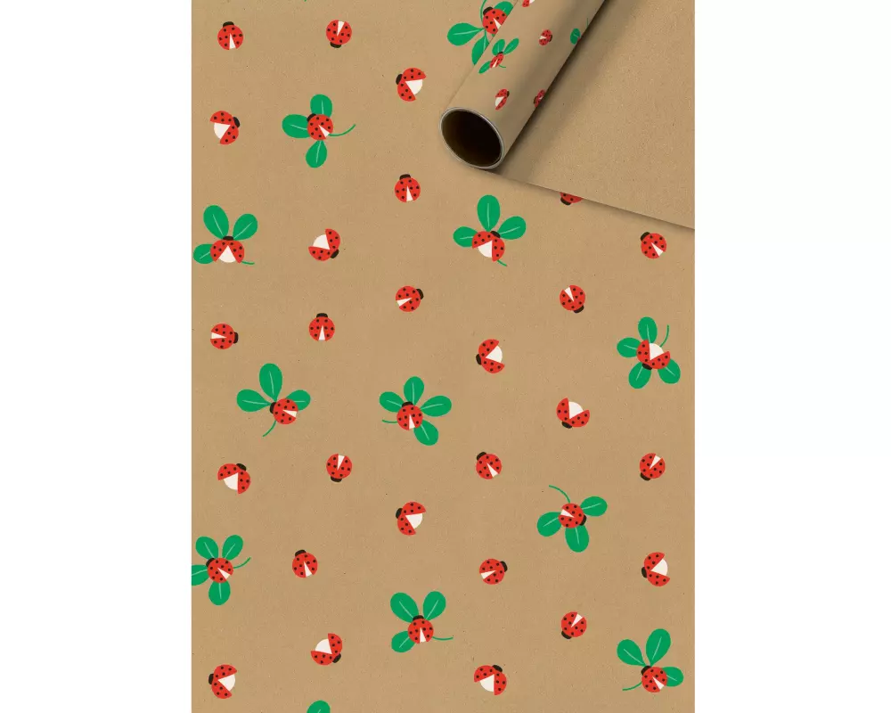 Stewo Geschenkpapier Adela 70 x 200 cm, Mehrfarbig