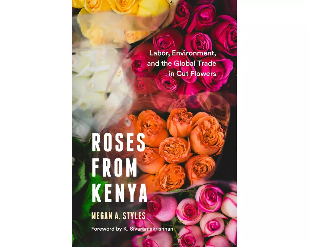 Roses from Kenya