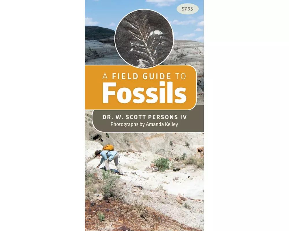 A Field Guide to Fossils