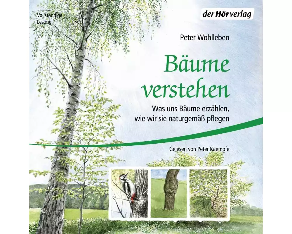 Bäume verstehen