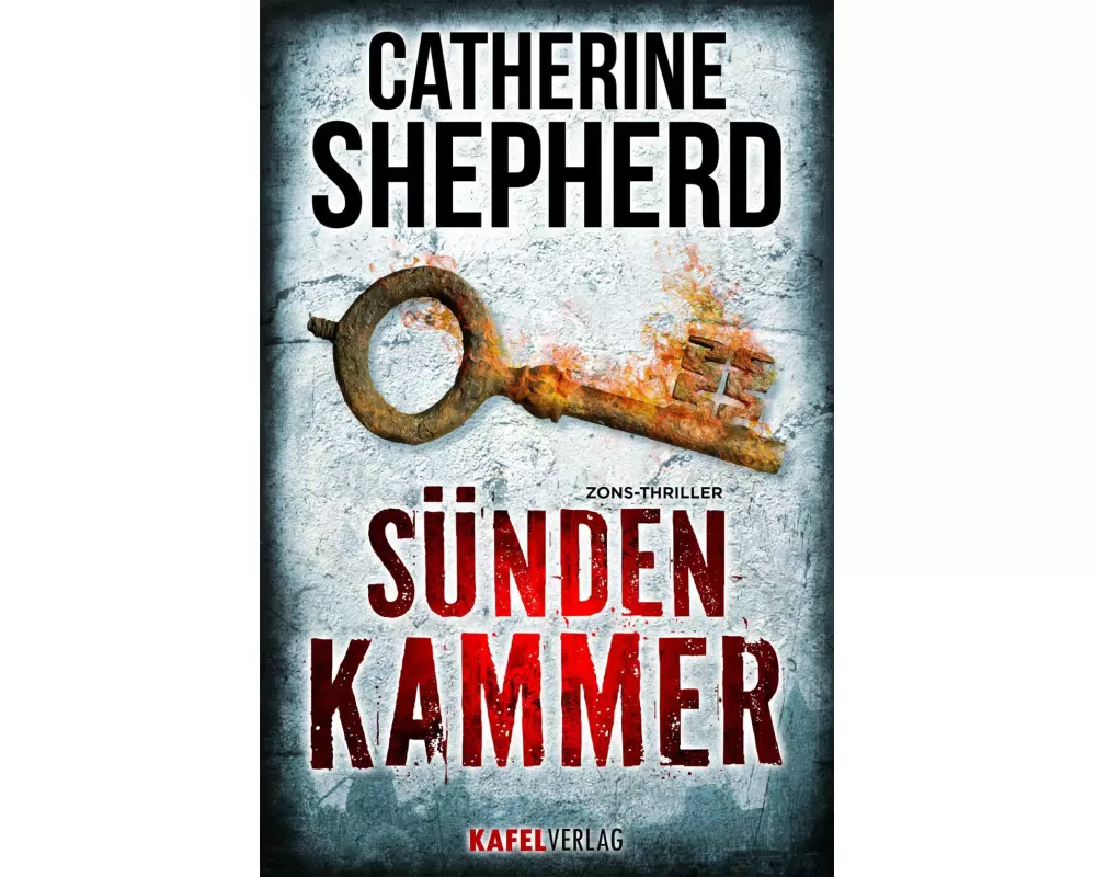 Sündenkammer: Thriller