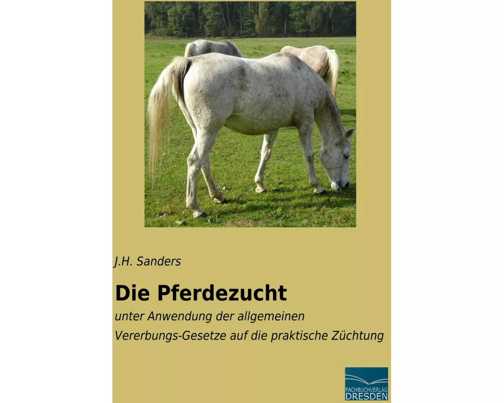 Die Pferdezucht