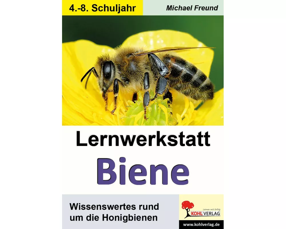 Lernwerkstatt Biene