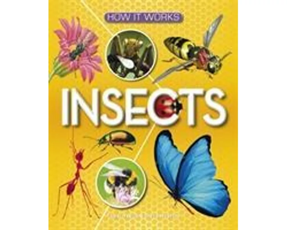 How It Works: Insects