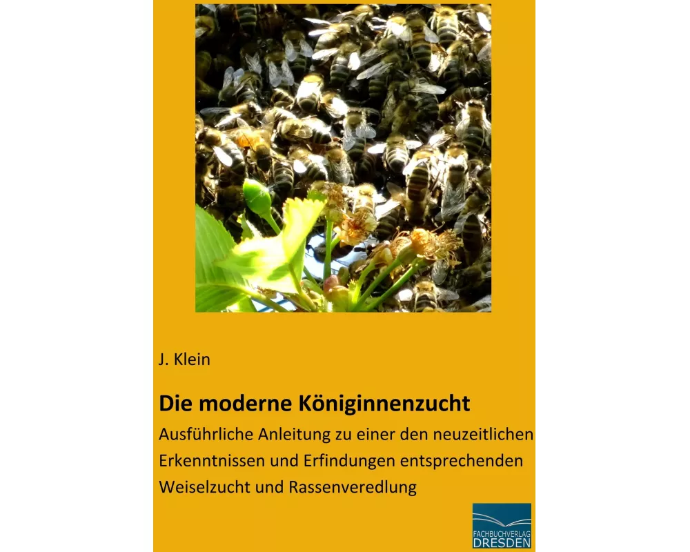 Die moderne Königinnenzucht