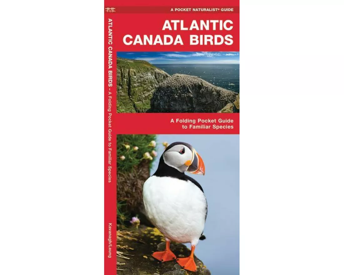 Atlantic Canada Birds