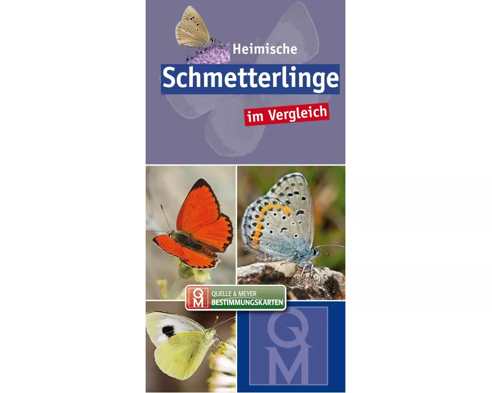 Heimische Schmetterlinge